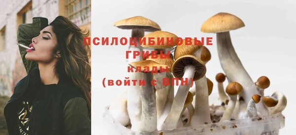 стафф Аркадак