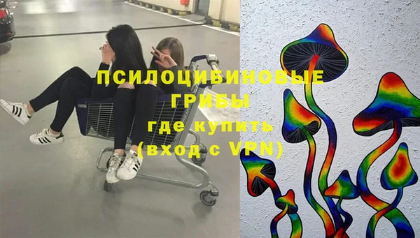 альфа пвп Армянск